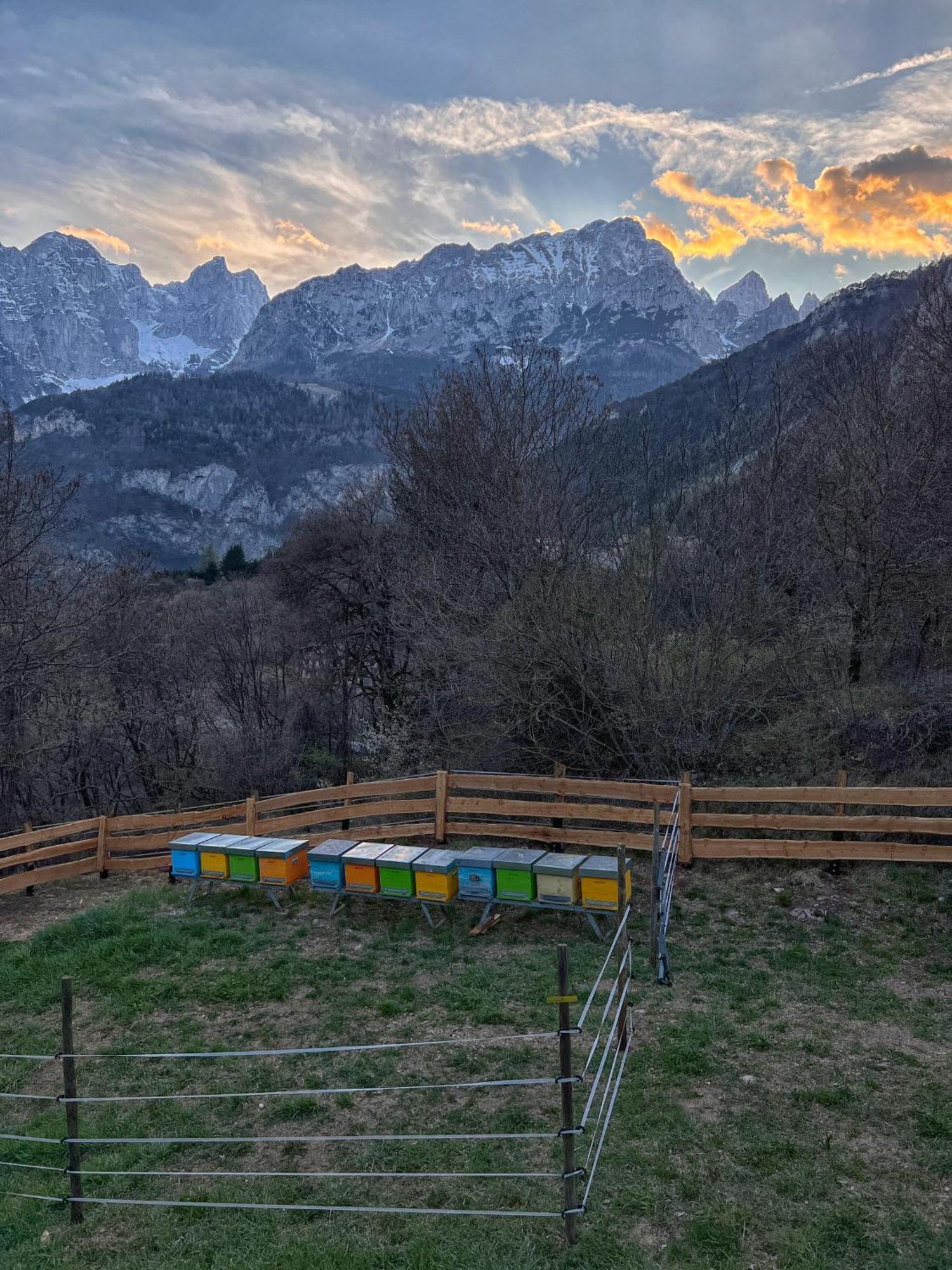 Agriturismo Ai Castioni Βίλα Molveno Εξωτερικό φωτογραφία